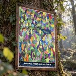 Shisso, la forêt sous les étoiles