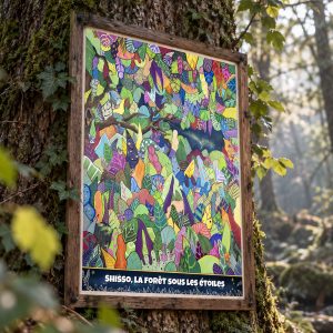 Shisso, la forêt sous les étoiles
